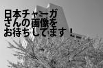 岡山市北区の（株）日本チャーガ