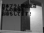 岡山市北区の（株）日本プラム岡山支店